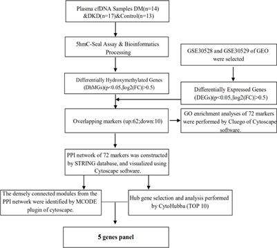 5-Hydroxymethylcytosine profiles in plasma cell-free DNA reflect molecular characteristics of diabetic kidney disease